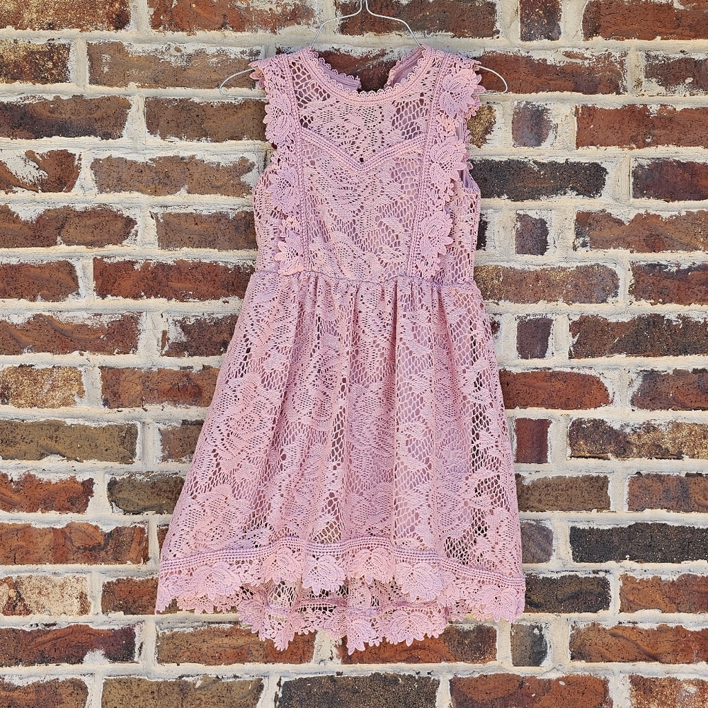 Knitworks Mauve Lace Dress